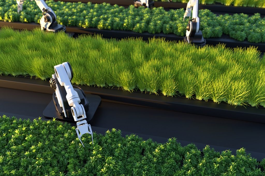 Artificial Intelligence in Agriculture